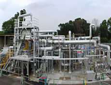 Commercial plant